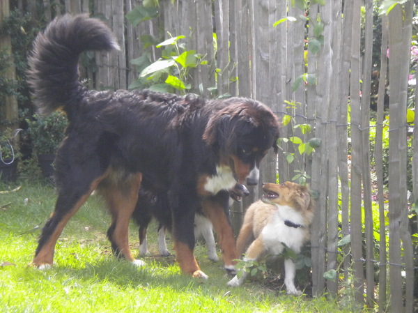 Maar een klein beetje schrik hoor ...