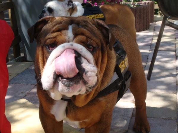 en schoon is me neus