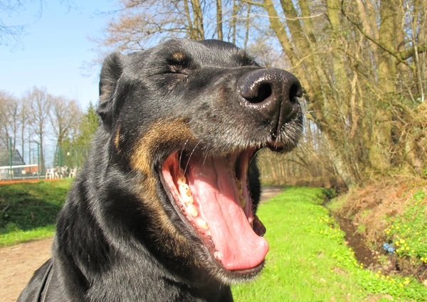 oversprong, kalmerend signaal