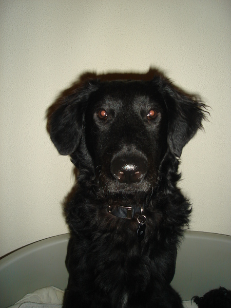 Statig in m'n mand..