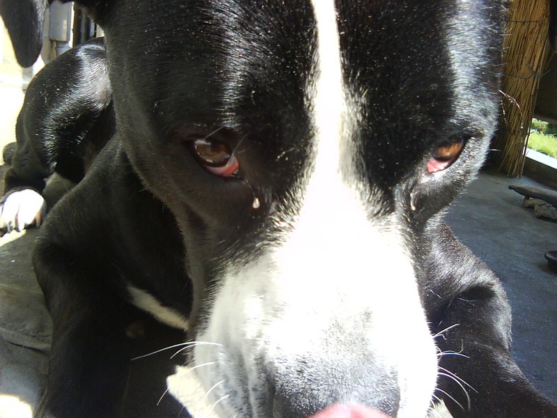 ik hou je in de gaten