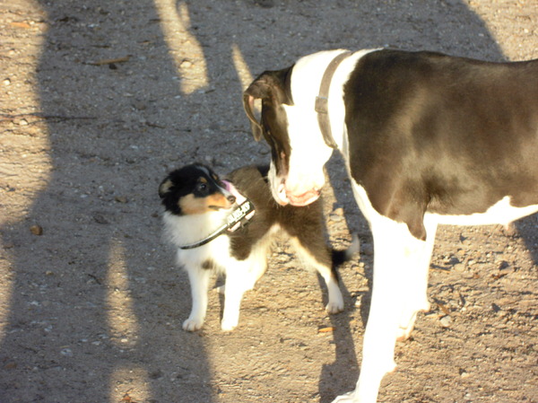 Oeps, die is groot...