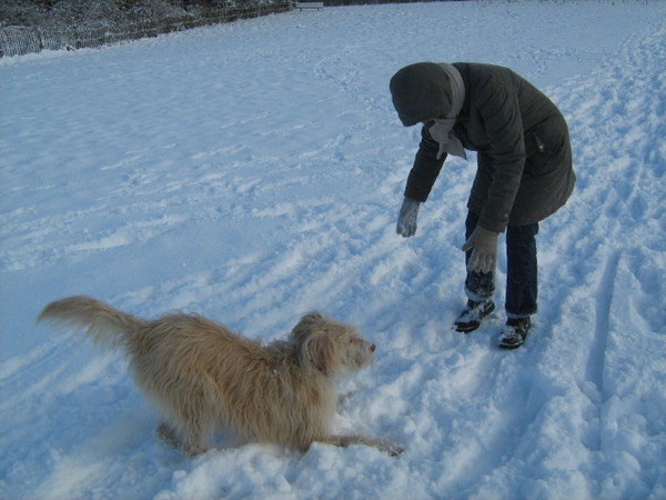 gooi nou een sneeuw bal !