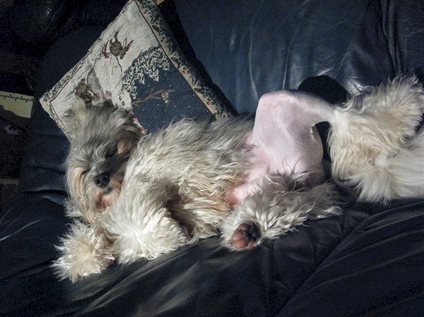 Kai zijn gekke slaappositie