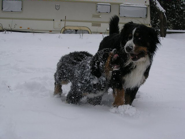 Kom dan als je durft moedertje