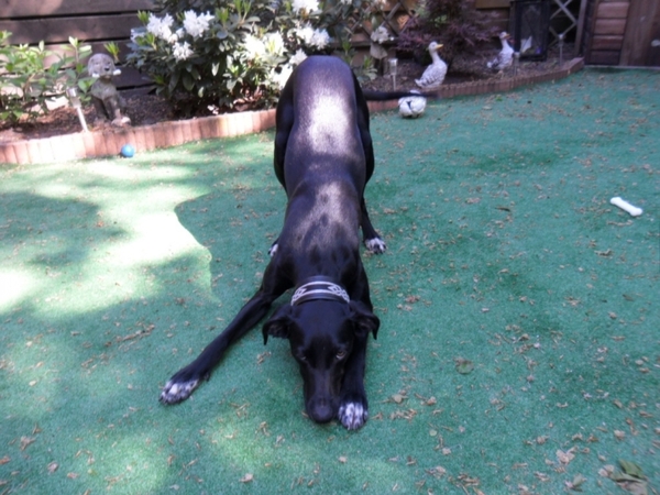 kom maar op als je durf