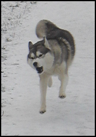 Woehoeeee dit is leuk!