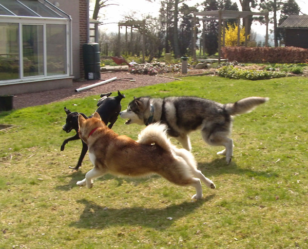 Het is maar spelen hoor!