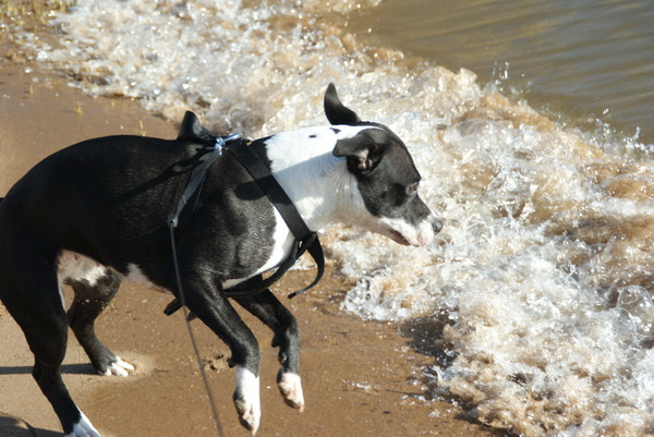 brr rtoch best koud en eng!!!!!