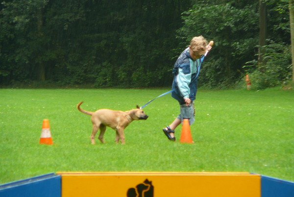 effe geen zin in deze oefening