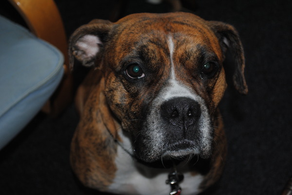 NIET WEER DIE CAMERA 