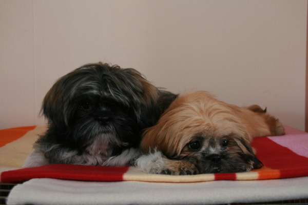 Moe van baasje met die camara, pff nu even niet hoor!