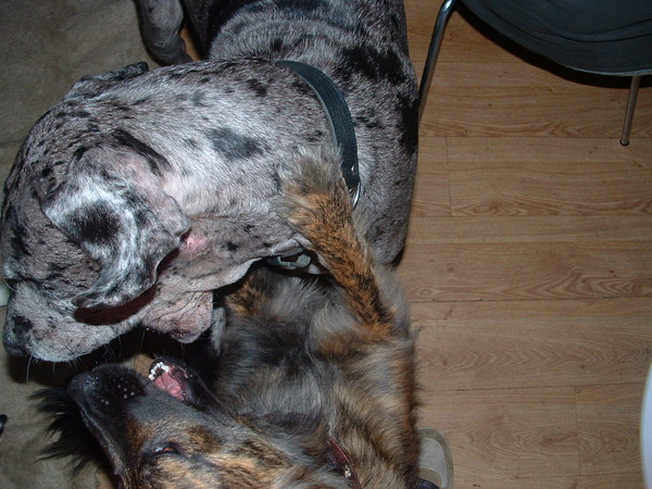 bij een nieuwe ontmoeting kun je leuk spelen