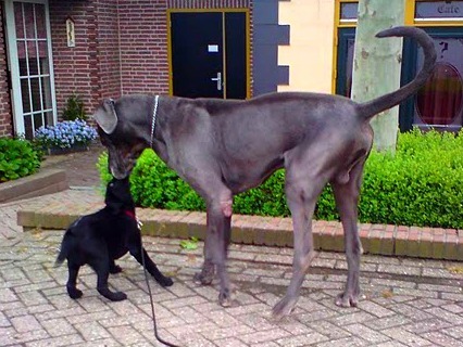 Jee... die is wel héél groot! Beetje spannend, maar wel interessant.