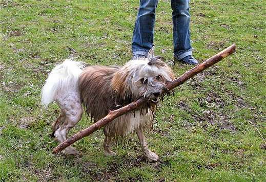 Ik en mijn grote prooi