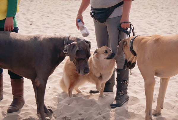 Oh wat zijn ze groot.