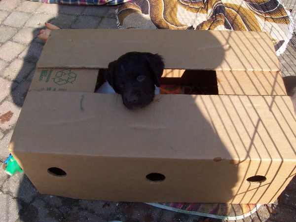 Even kijken wie daar is.