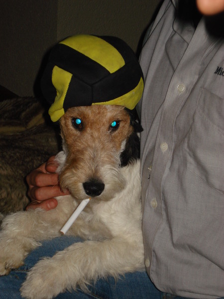 Morris wil ook stoer zijn!!