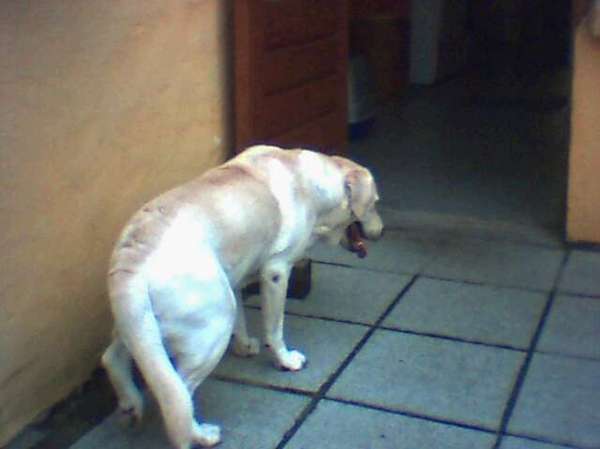 ze is bbang van jullie allen dus komt naar binnen!