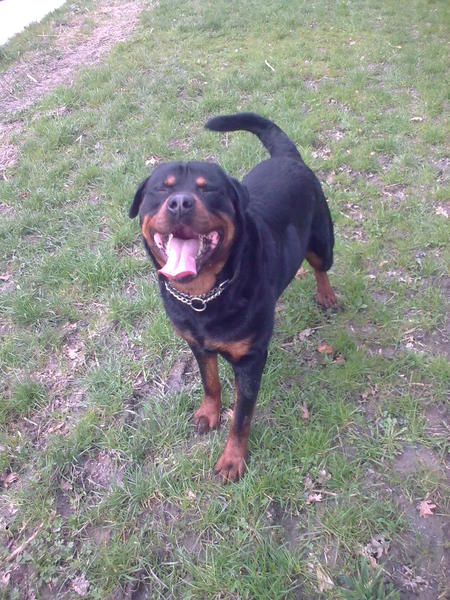 haha ik kan lachen!!! 