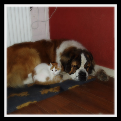 lekker slapen met mijn maatje binky