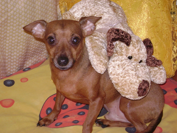 lekker met zn knuffie op bed