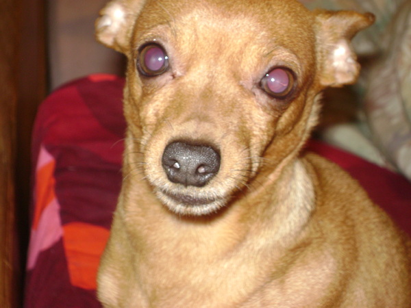 sacha vindt foto niet leuk :P