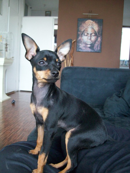 Tequila sunrise......