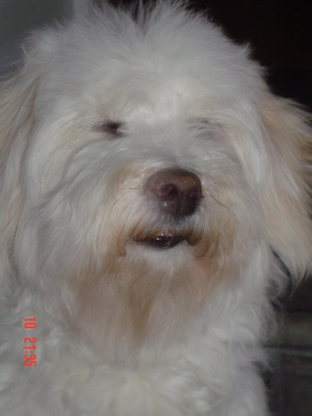 wat zit je  te kijken...