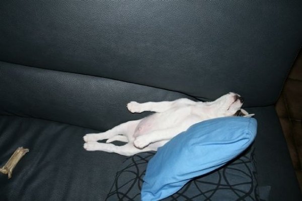 Lekker lui zijn en zoveel mogelijk plaats inpakken