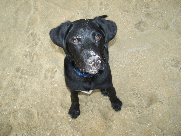 Wat 'n lief koppie!!