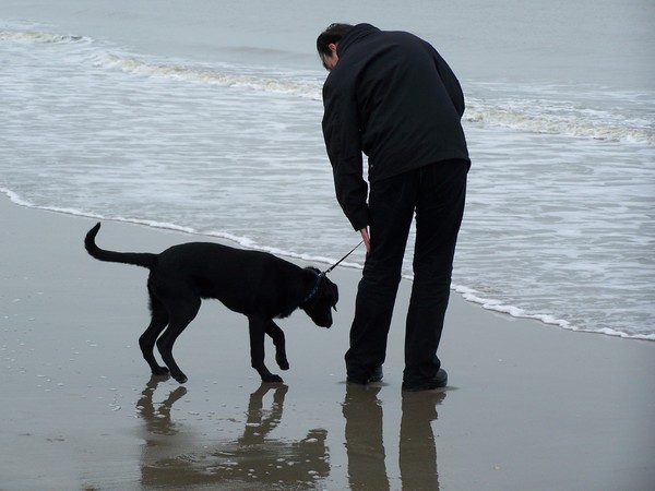 Moet ik nou echt het water in..