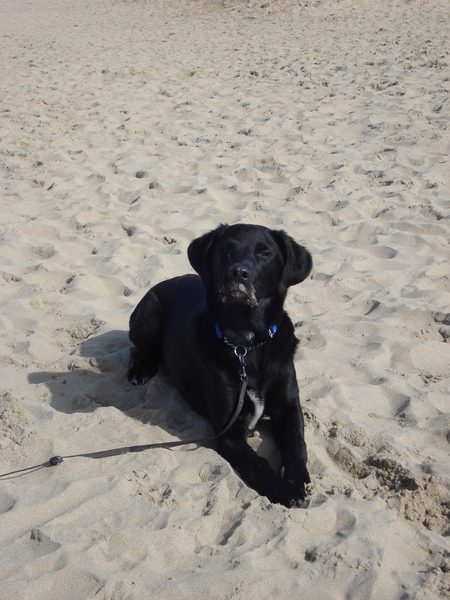 Max met een zandsnor..