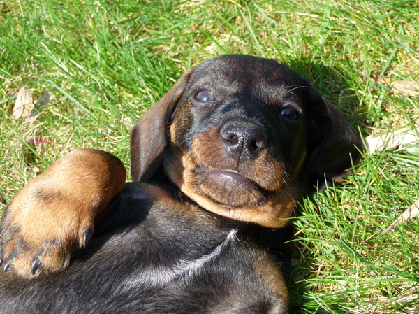heerlijk lui in het zonnetje...