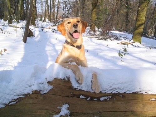 Heeeeerlijk wandelen!