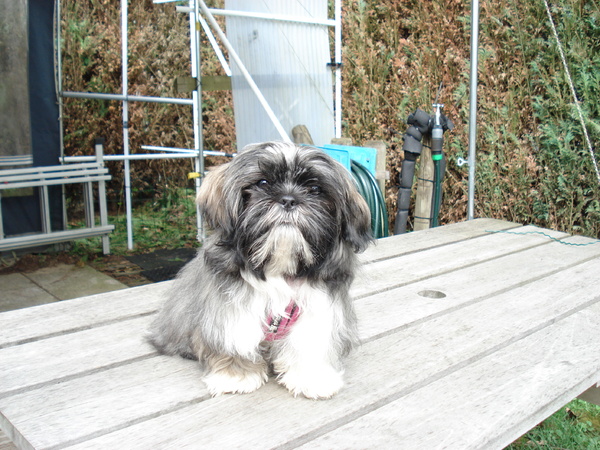 Charley in de camping