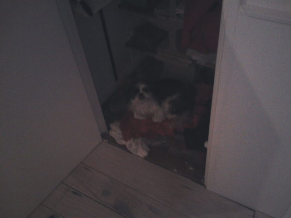 Waar is Max???