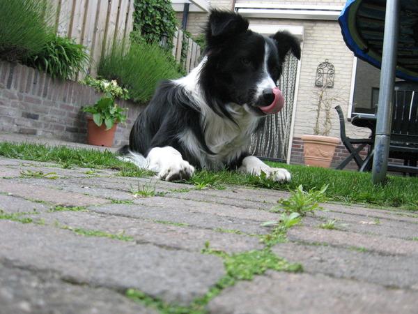 Mmm, dat ziet er lekker uit.