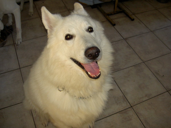 Hallo...wat ben ik knap he!!!