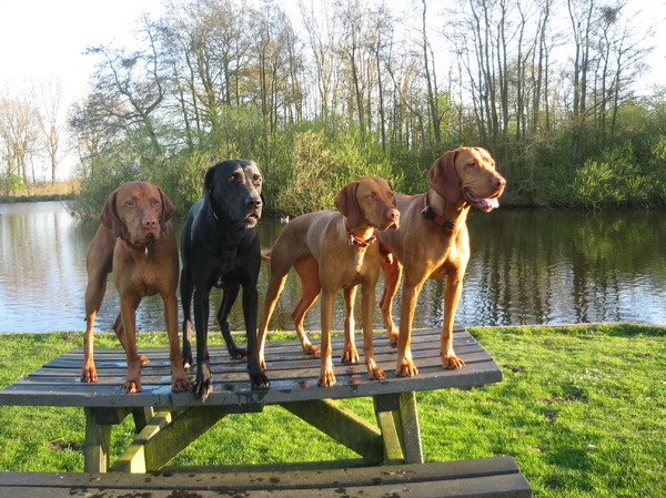 Jessie Claire van Brederode