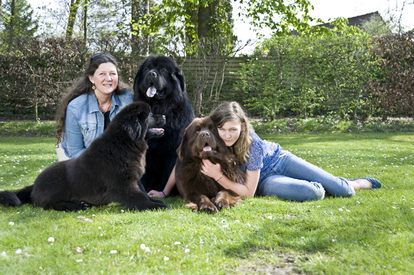kennel Procyon l'etoile du lac