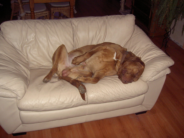 ik doe net als of ik slaap