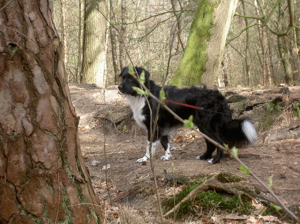 Onbekend terrein verkennen