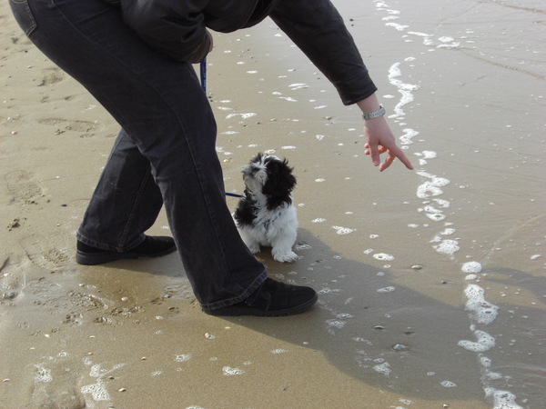 Max 1 e keer naar het strand 
