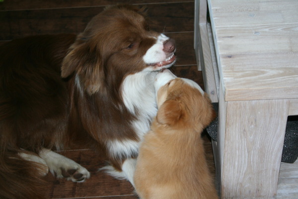 de eerste kennismaking met mijn mede bewoner
