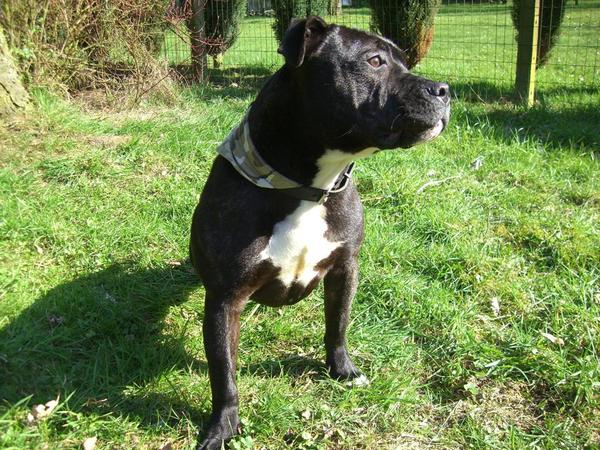 Borst vooruit en kin omhoog!