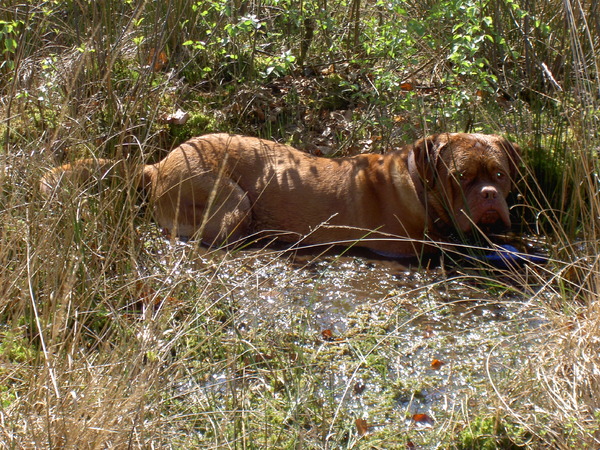 doen ze zo maar mijn speeltje in het water