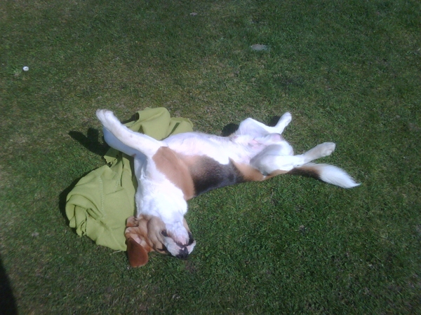 lui in de zon