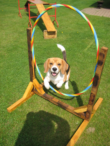 Bangle's hoelahoep jump