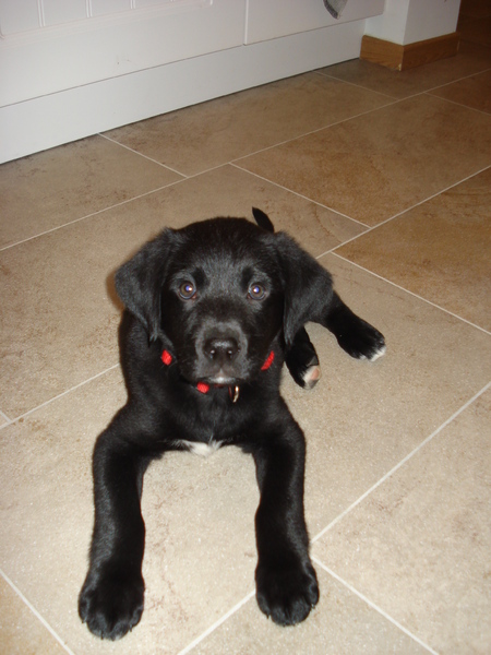 Goed kijken naar de camera!